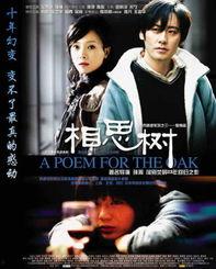 电视剧相思树在线观看,穿越时空的浪漫邂逅